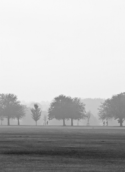 fog foggy landscape