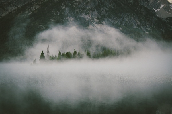 fog forest hill landscape mist mountain rock stone
