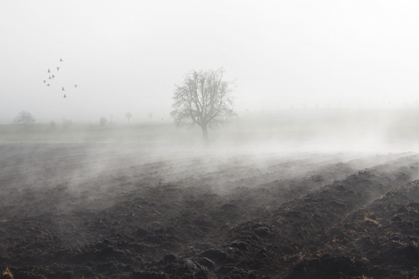 fog mood landscape
