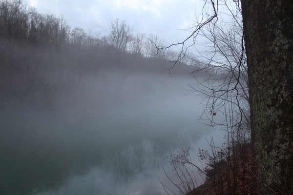 fog on a river