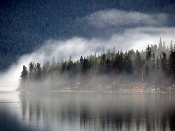 foggy canim lake resort