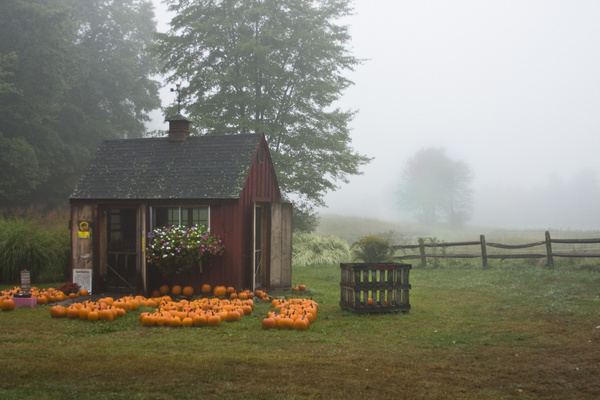 foggy farmstand 