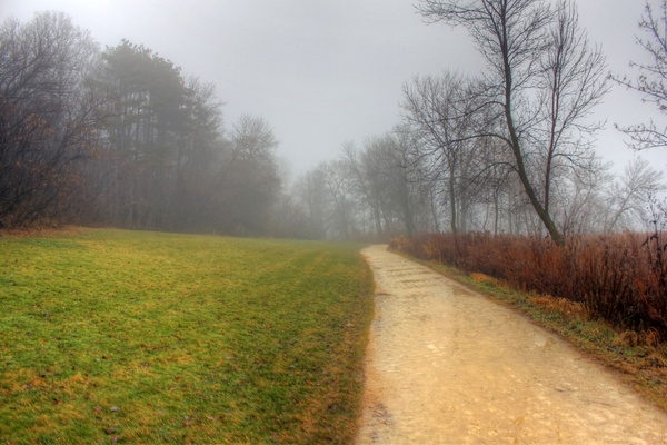 foggy hiking path in madison wisconsin 