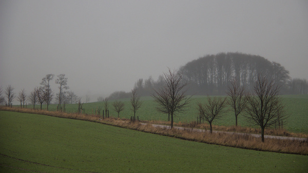 foggy landscape 