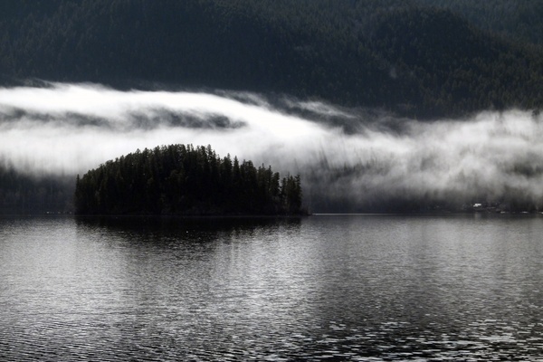 foggy morning lake