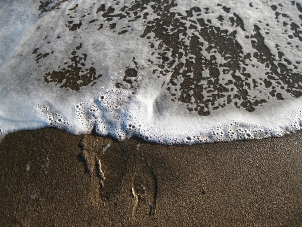 footprints surf wave