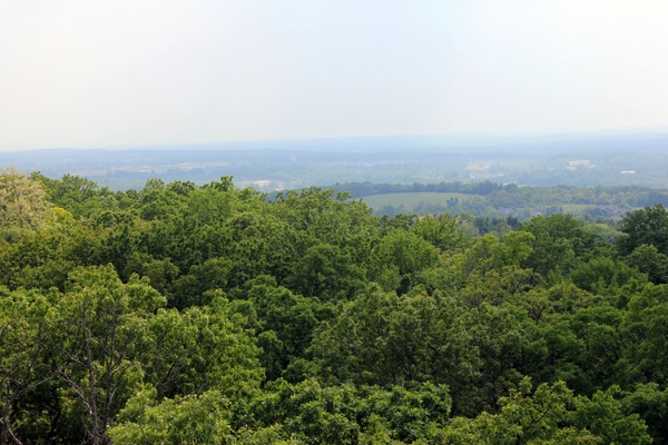 forest and fields beyond at lapham peak state park wisconsin 