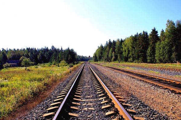 forest grass line metal pebble rail track train