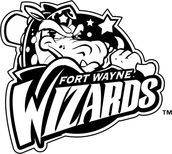 fort wayne wizards 0