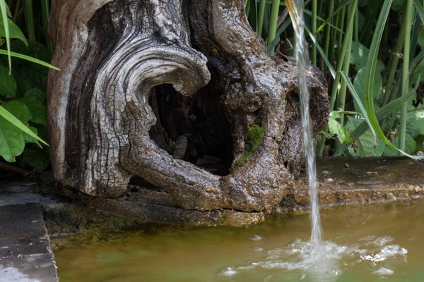 fountain root wood 