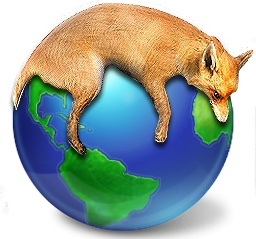 Fox lie on earth