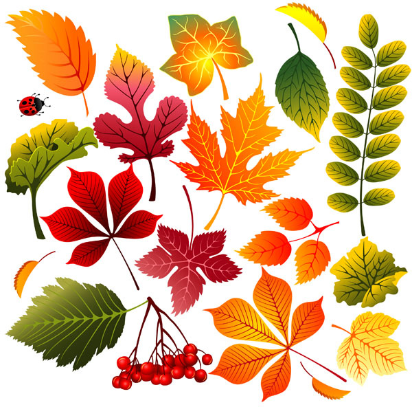 free autumn leaves