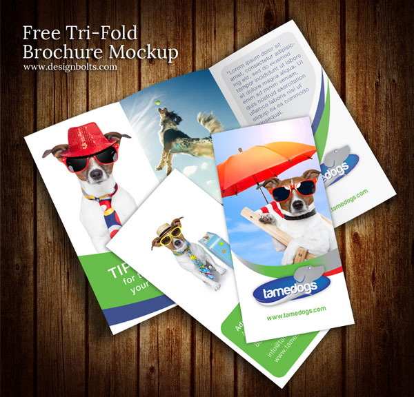 free tri fold brochure mockup psd template 