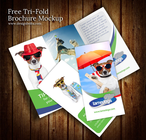 free tri fold brochure mockup psd template