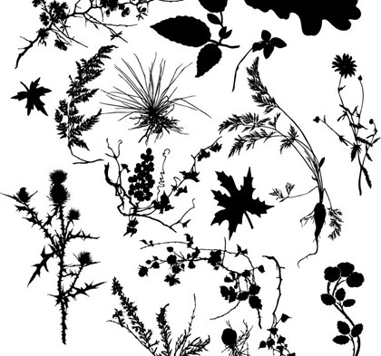 plants design elements black silhouette style