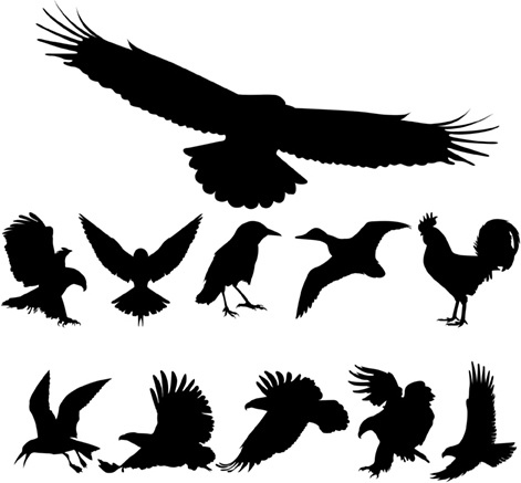 free vector birds silhouettes free cdr vector