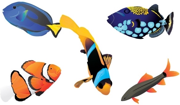 Free vector fishes