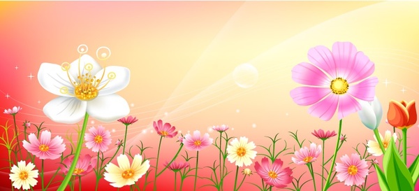 floral background bright colorful flowers collection
