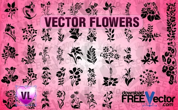 Free Vector Flowers