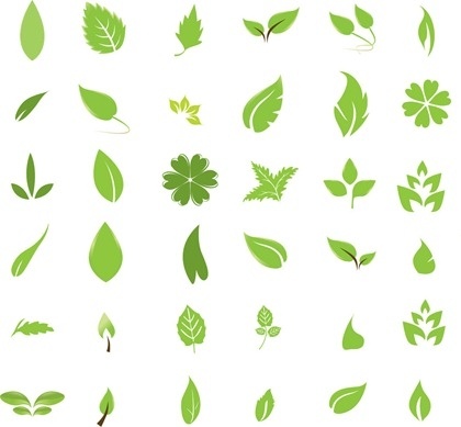 green leaf icons collection various shapes decoration
