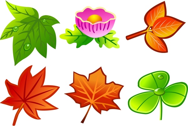 leaves icons collection various colorful types 