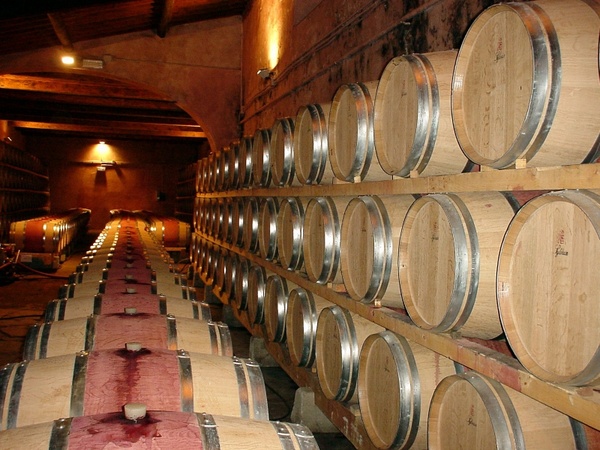 frescobaldi wine cellar wine barrels