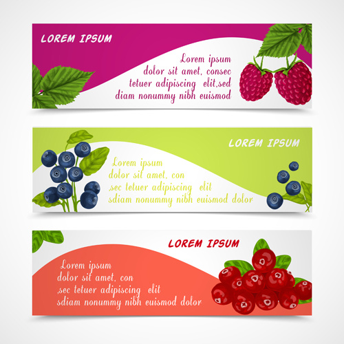 fresh berry vector banners