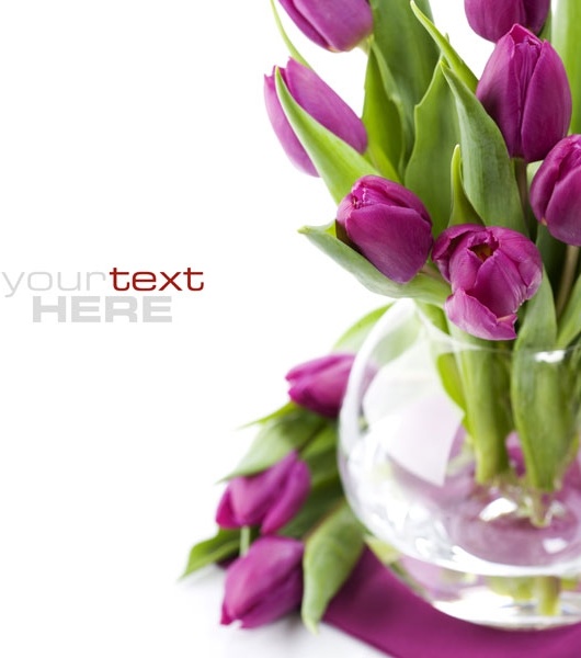 fresh flowers background of highdefinition picture five