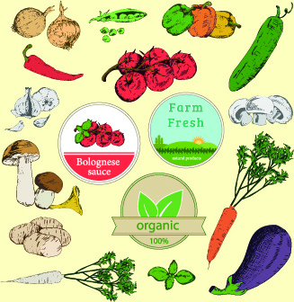 fresh food label design vector