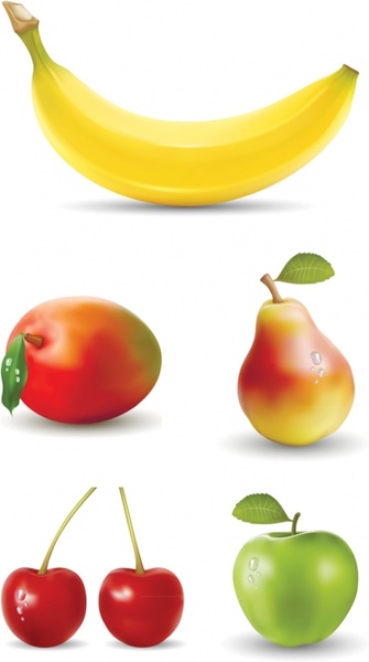 fresh fruit vector