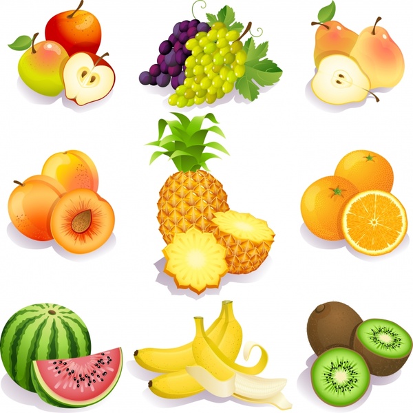 fruit icons bright modern colored 3d design