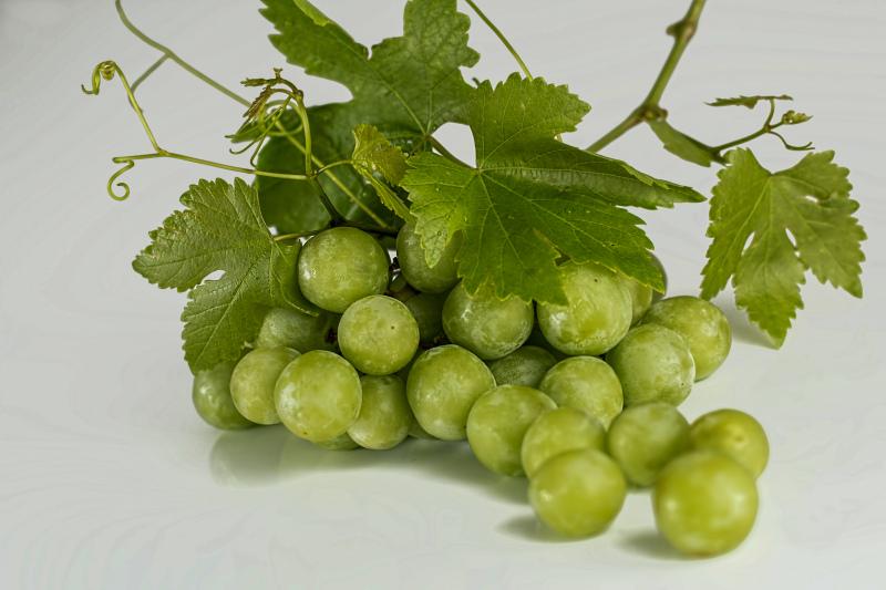 fresh grapes backdrop picture elegant closeup 