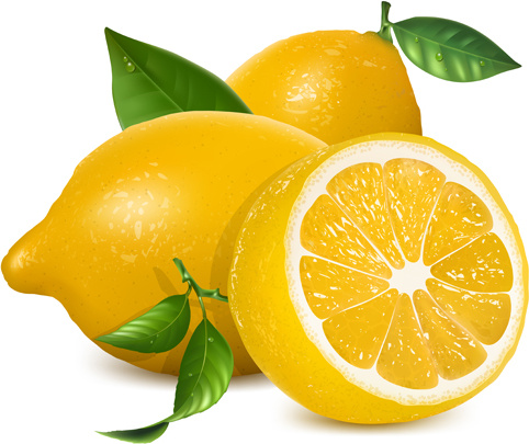 fresh lemon creative design vector