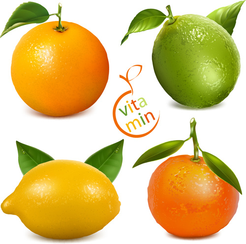 fresh orange and lemon vector