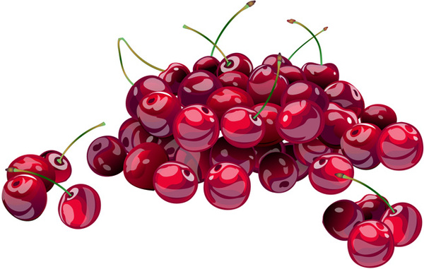 fresh vector cherries food vector graphics