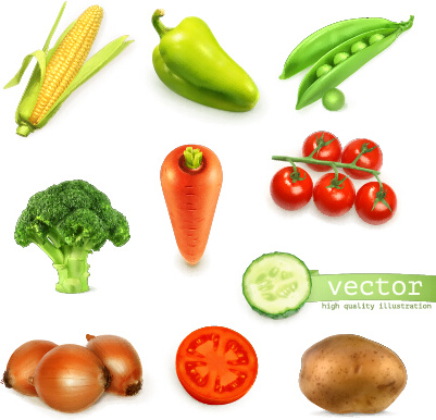 fresh vegetable shiny vector