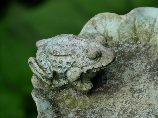 frog animal ornament