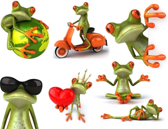 frog hd pictures