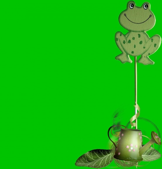 frog with pot