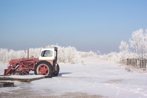 frosty day tractor