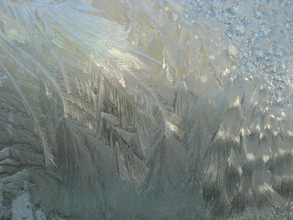 frosty icy window