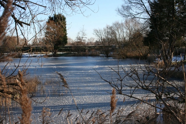 frozen lake 4