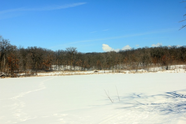 frozen lake at lake maria state park minnesota 
