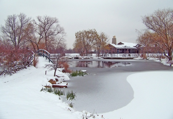 frozen pond winter