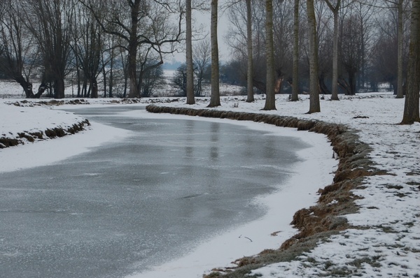 frozen river river nature