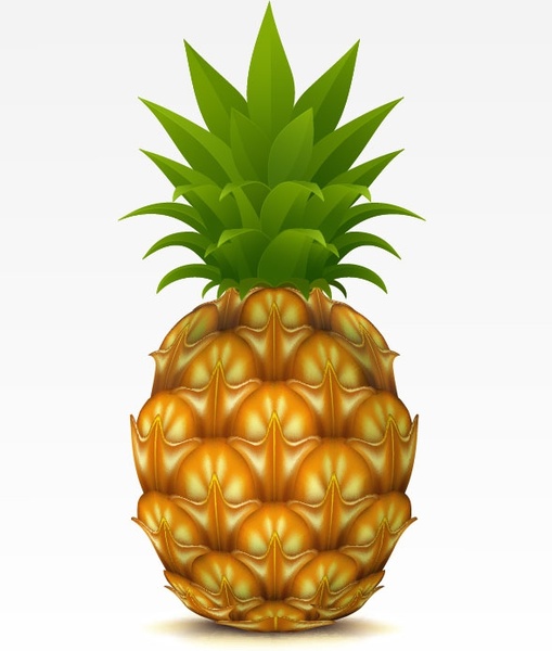 Download Pineapple free vector download (198 Free vector) for ...