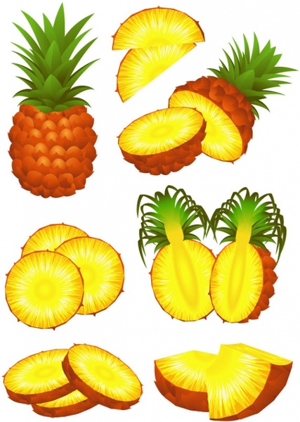 fruit 02 vector