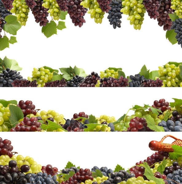 fruit borders 02 hd pictures