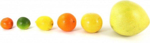fruit food citrus