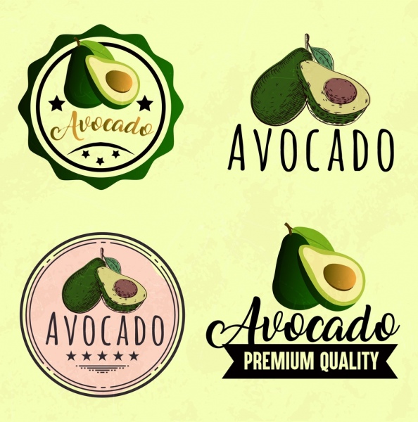 fruit logotypes collection avocado icons various shapes isolation